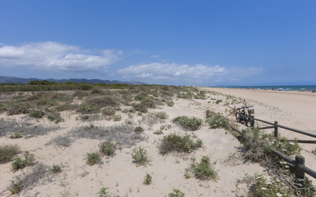 Gandia, un destino turístico de referencia