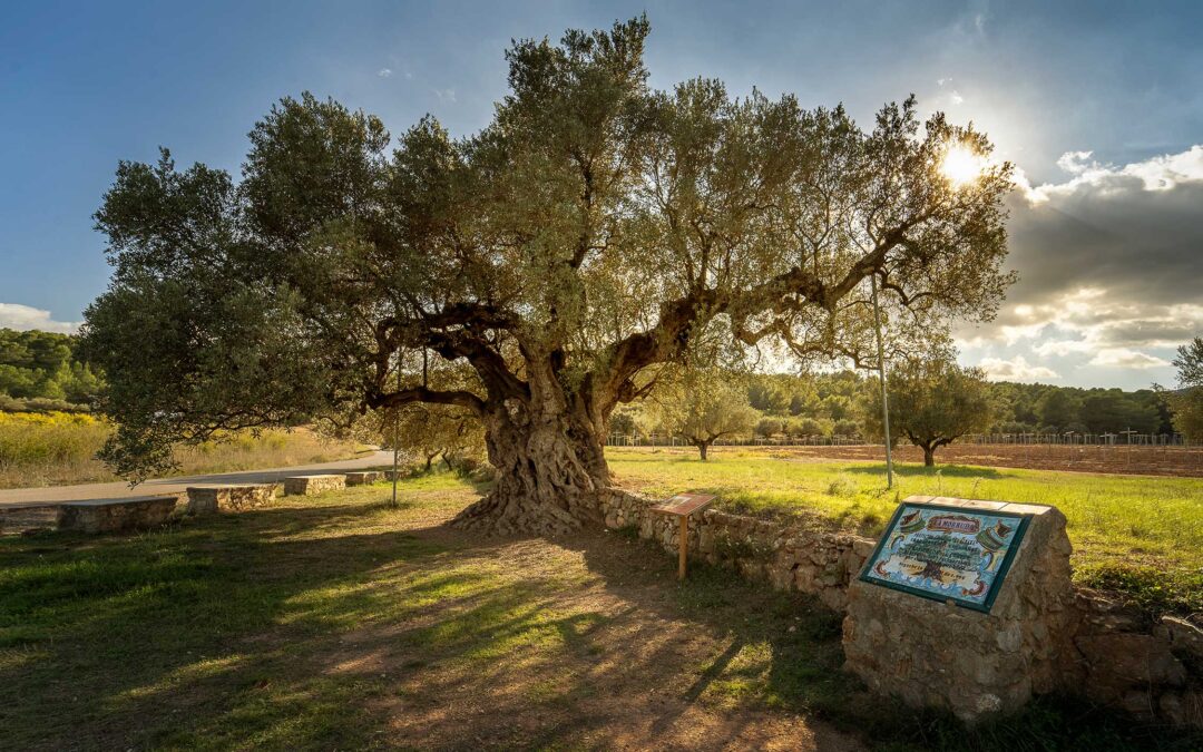 Segorbe: un paraíso natural en el corazón de la Comunitat